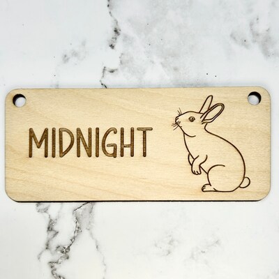 Bunny Name Tag, Rabbit Name Tag, Bunny Accessories for Rabbits, Cage ...