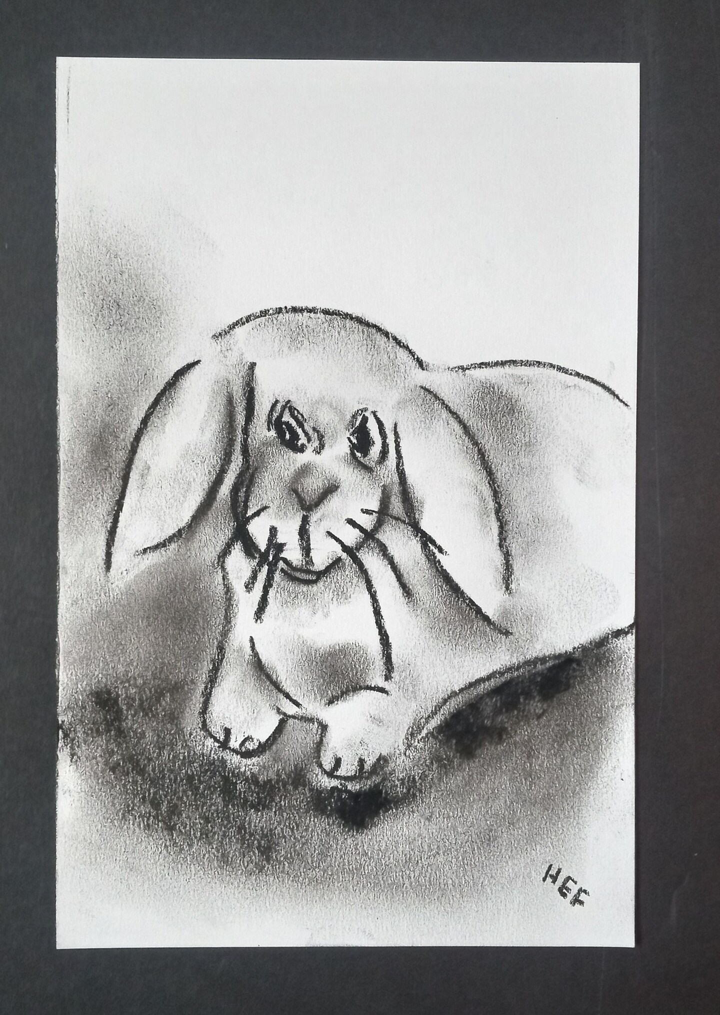 Bunny Charcoal Drawing, Floppy Ears Rabbit Hand-Drawn Original Wall Art