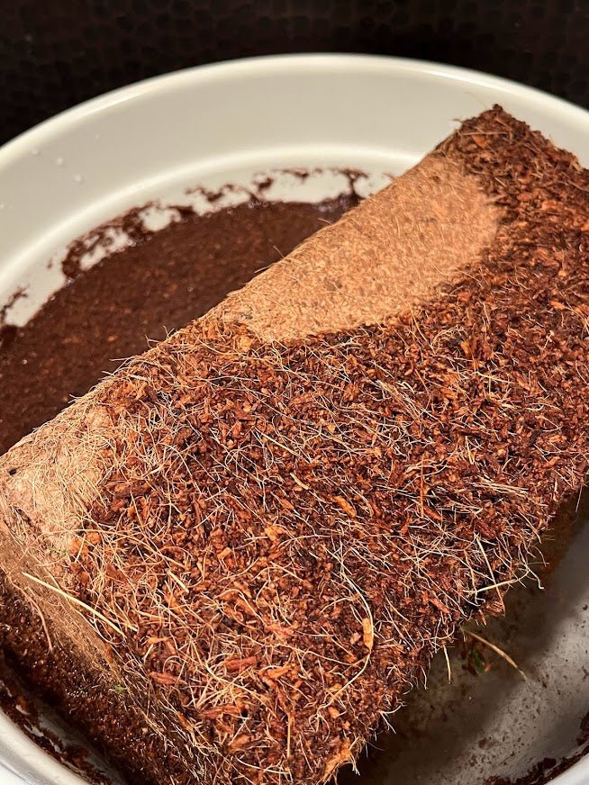 Coconut Coir - 1 Jumbo Brick