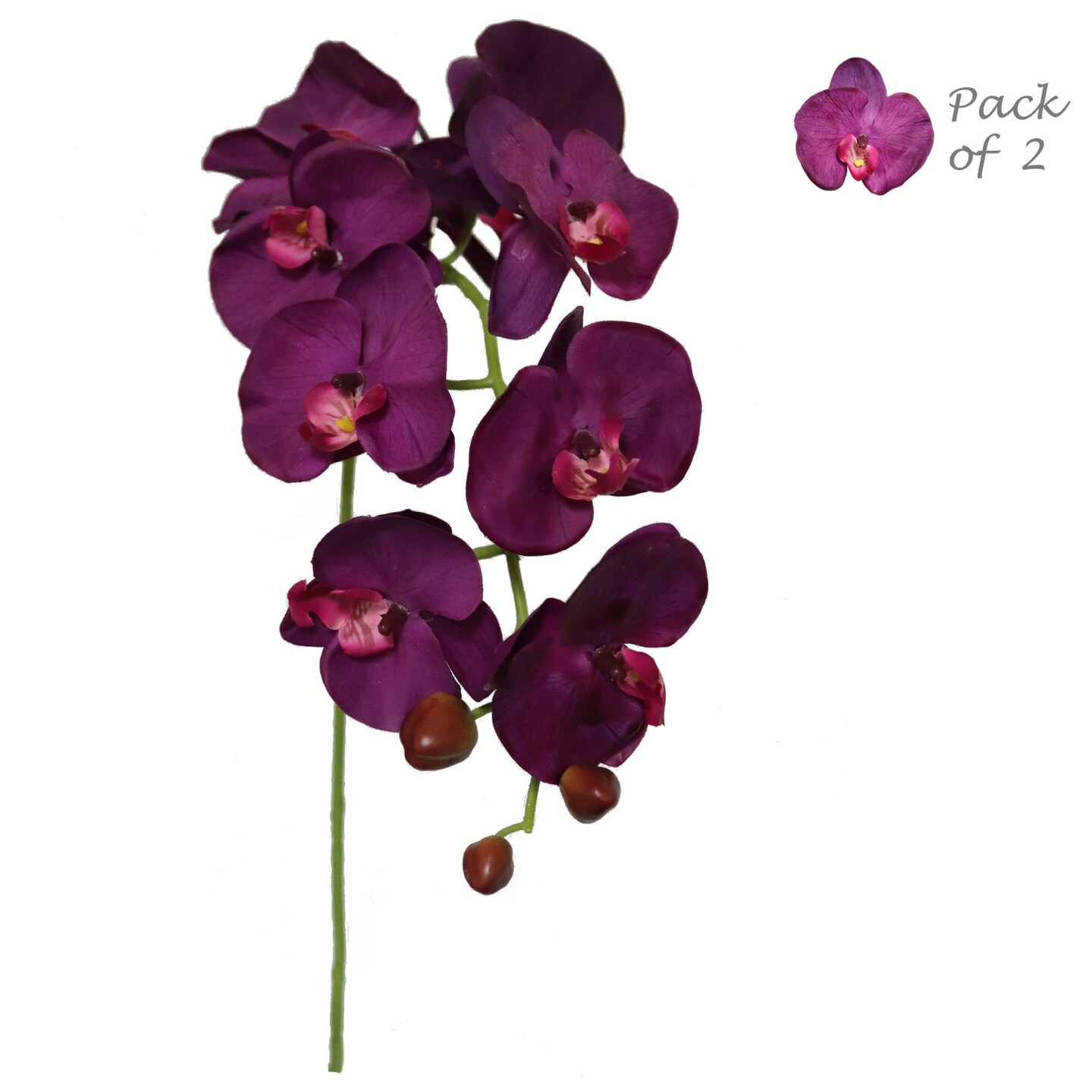 33.5-Inch Real Touch Vibrant Purple Phalaenopsis Orchid Stems - Set of 2 with 9 Lifelike Silk Blooms Each - Ideal for Parties, Weddings, Home & Office Decor - Floral Home by Artificial Flowers