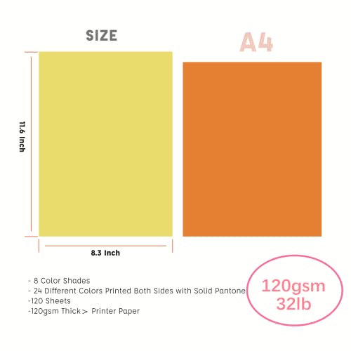 Livholic 120 Sheets Colored Card Stock Printer Paper, 120gsm 32lb 24 Colors Pastel Construction Paper for Kids Scrapbook School Office Printing DIY Craft (120GSM)
