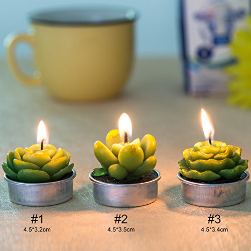 12 Pieces Cactus Tealight Candles,Handmade Delicate Succulent Cactus Candles for Party Wedding Spa Home Decoration Gifts