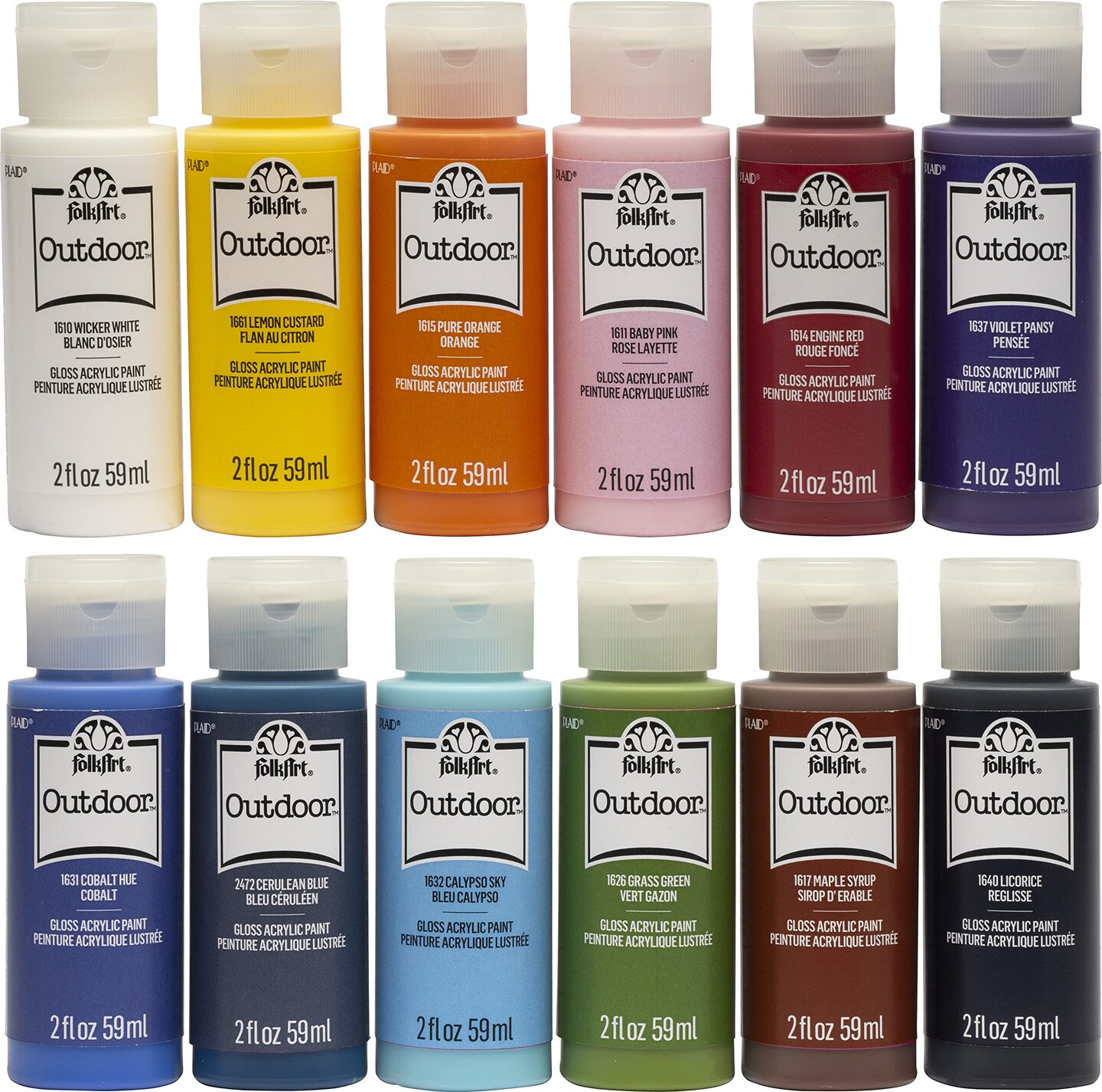 FolkArt Outdoor Gloss Acrylic Craft Paint Set Designed for Beginners and  Artists, Non-Toxic Formula Perfect for Rock Designing, Twelve Bottles, 2  oz, 24 Fl Oz