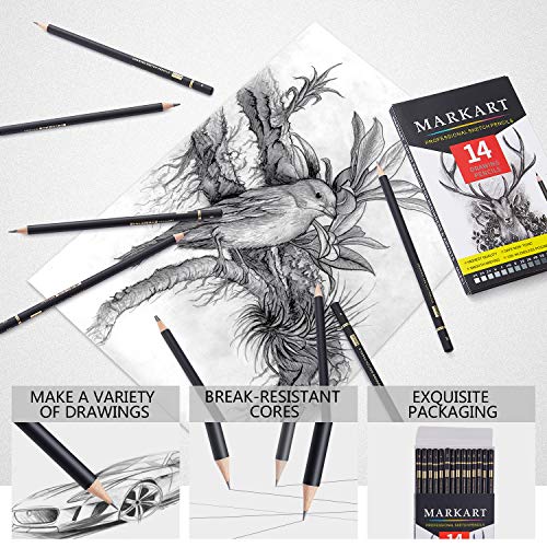Professional Drawing Sketching Pencil Set - 14 Pieces,Graphite,(12B - 4H), Ideal for Drawing Art, Sketching, Shading, Artist Pencils for Beginners & Pro Artists