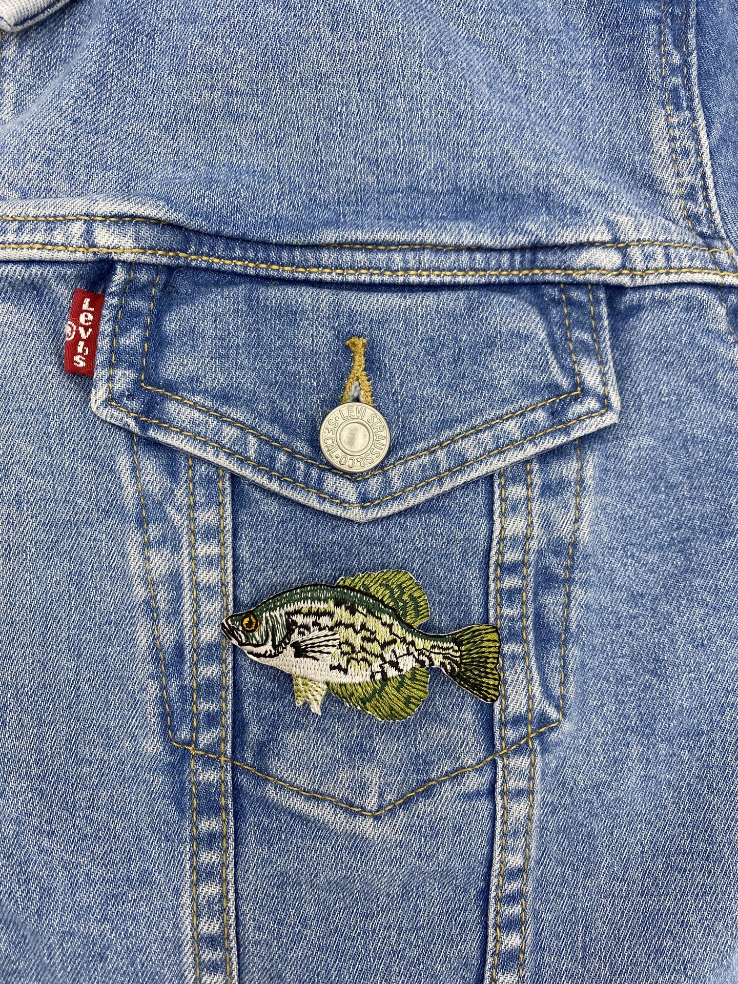 Crappie, Realistic Freshwater Fish, Embroidered, Iron on Patch