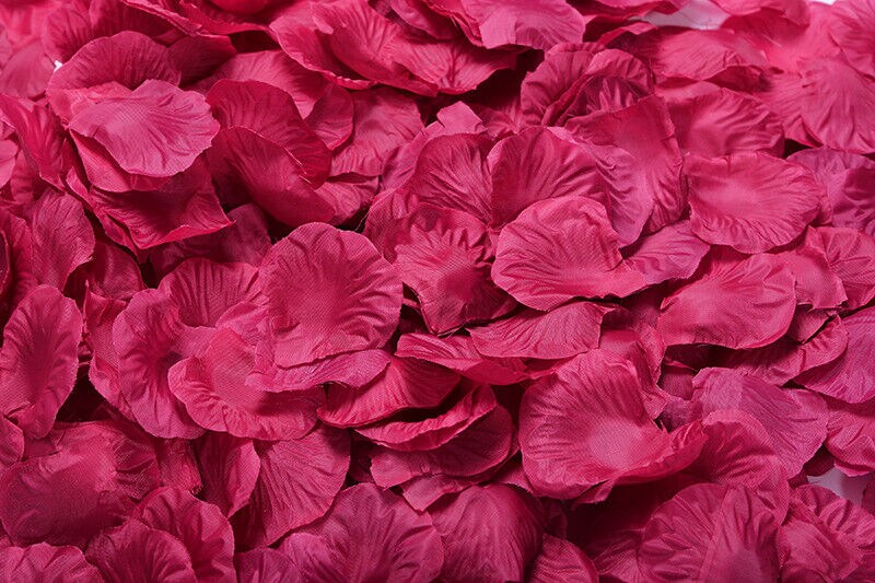 Kitcheniva Artificial Rose Petals DIY Craft Decorations