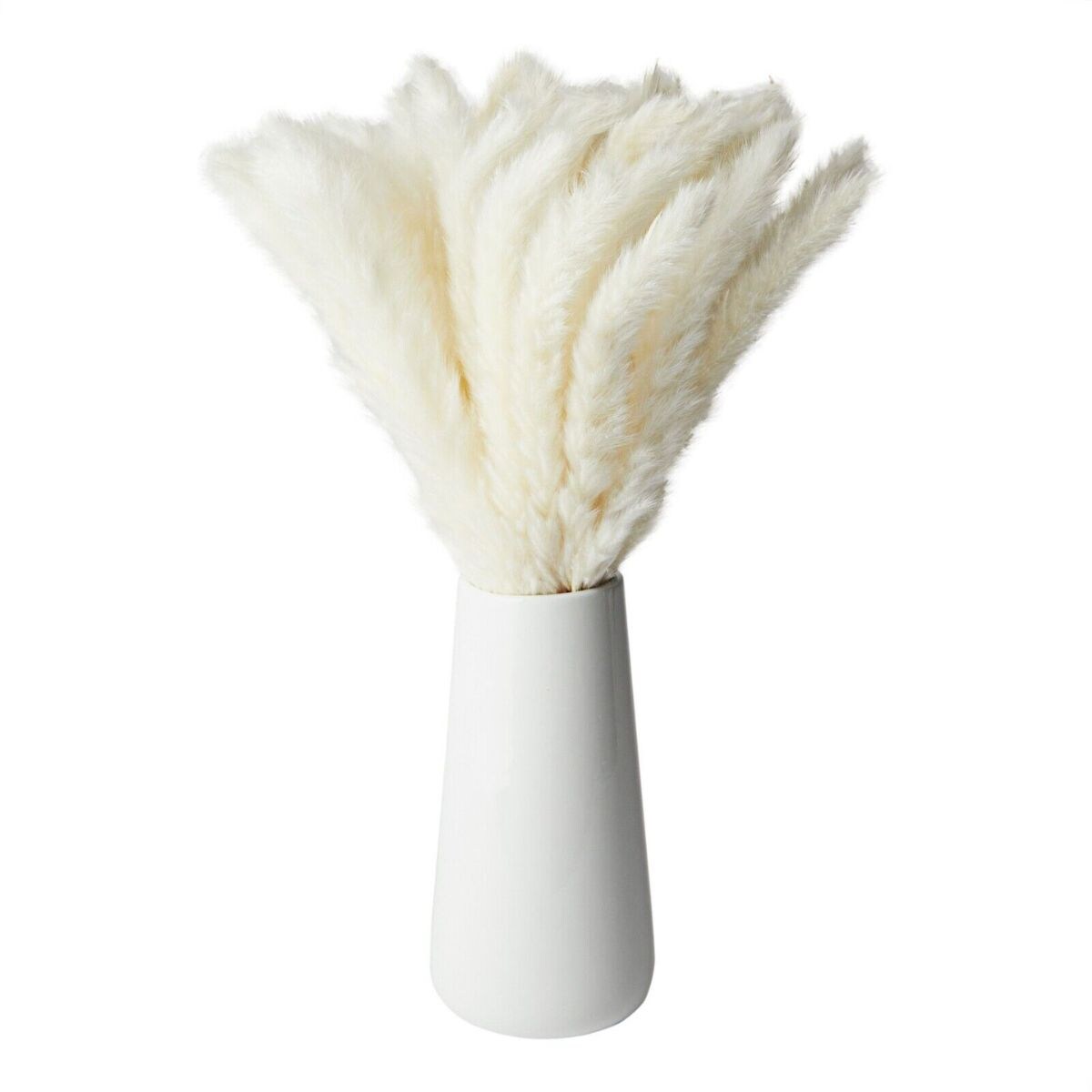 Decorative Pampas Grass with Ceramic Vase 40 packs