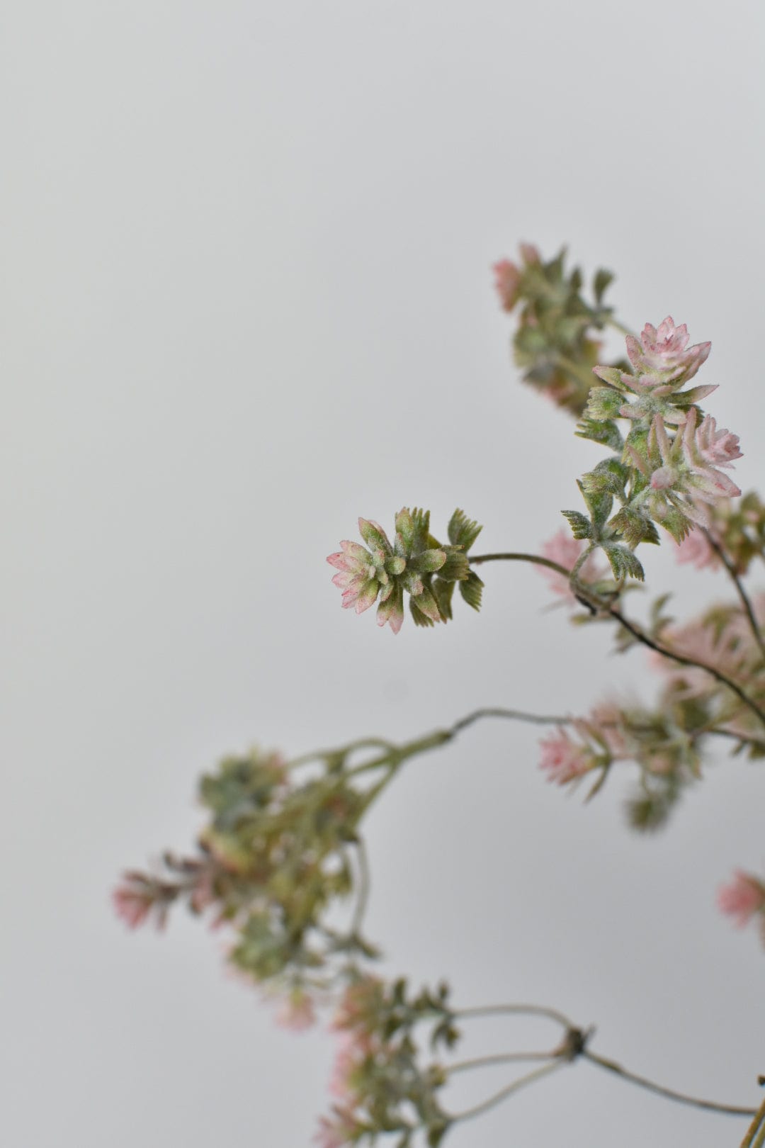 18&#x22; Faux Pink/Green Gray Sedum Bush