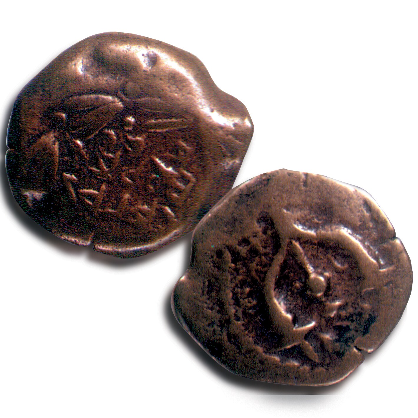 Widow&#x27;s Mite Coin
