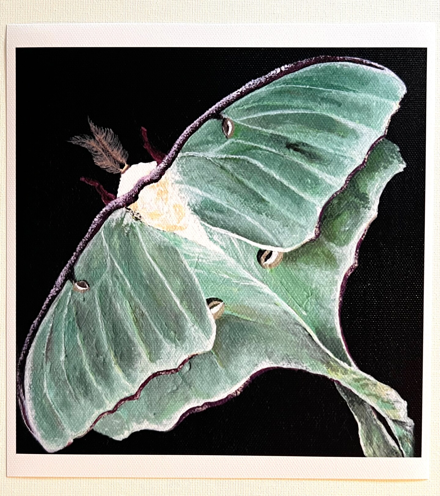 Luna Moth, whimsical art, witch, witchy art, magic, witchy
