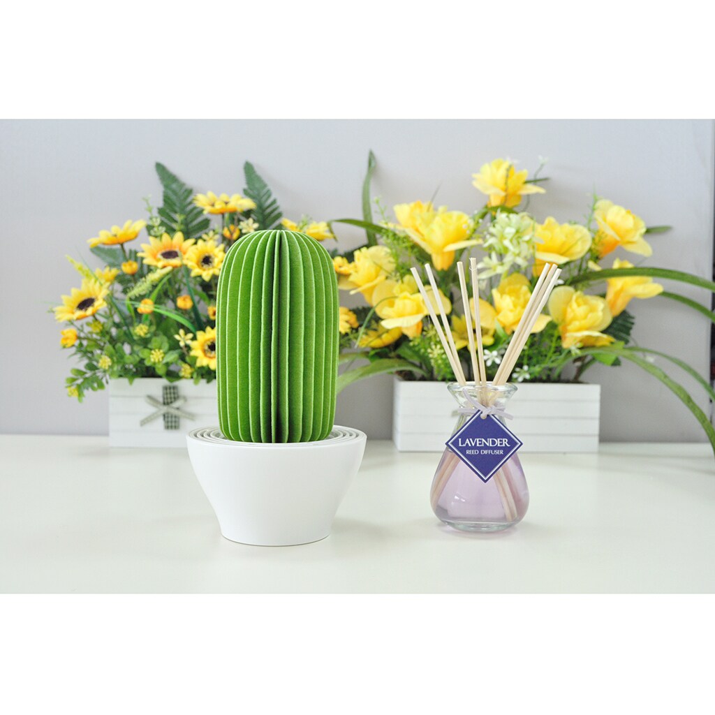 Cactus Non-Electric Personal Humidifier in Green