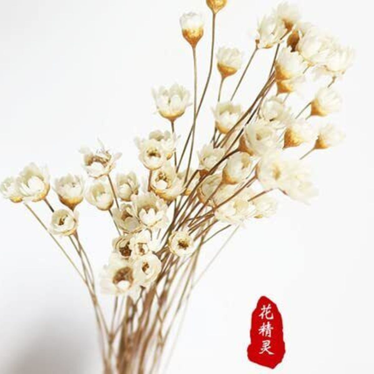 Decorative Small Dried Flower 200 Stem