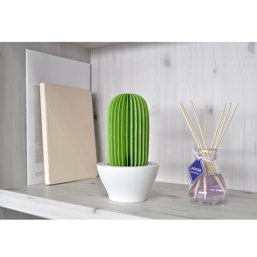 Cactus Non-Electric Personal Humidifier in Green