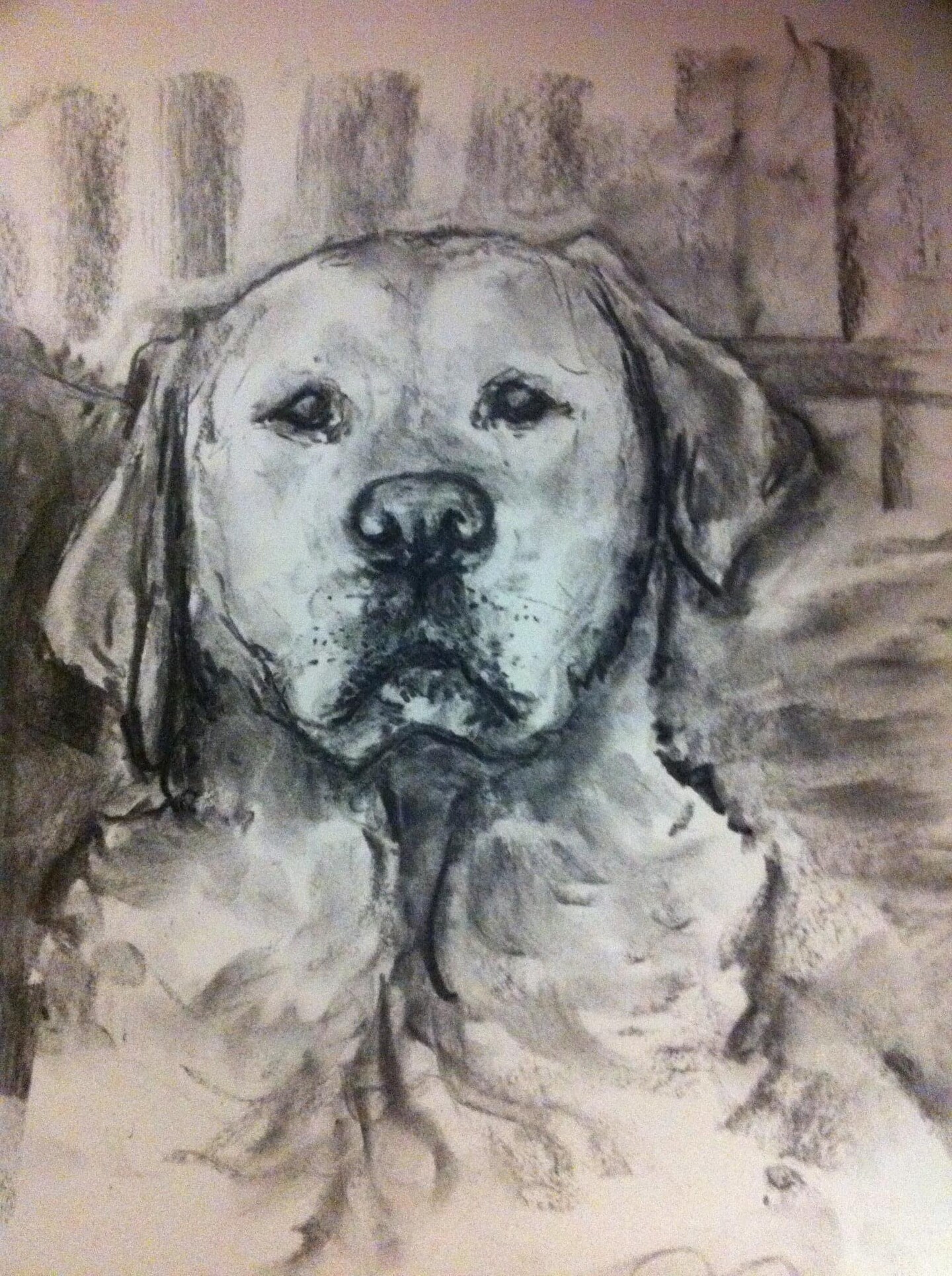 Charcoal Art Pet Portraits