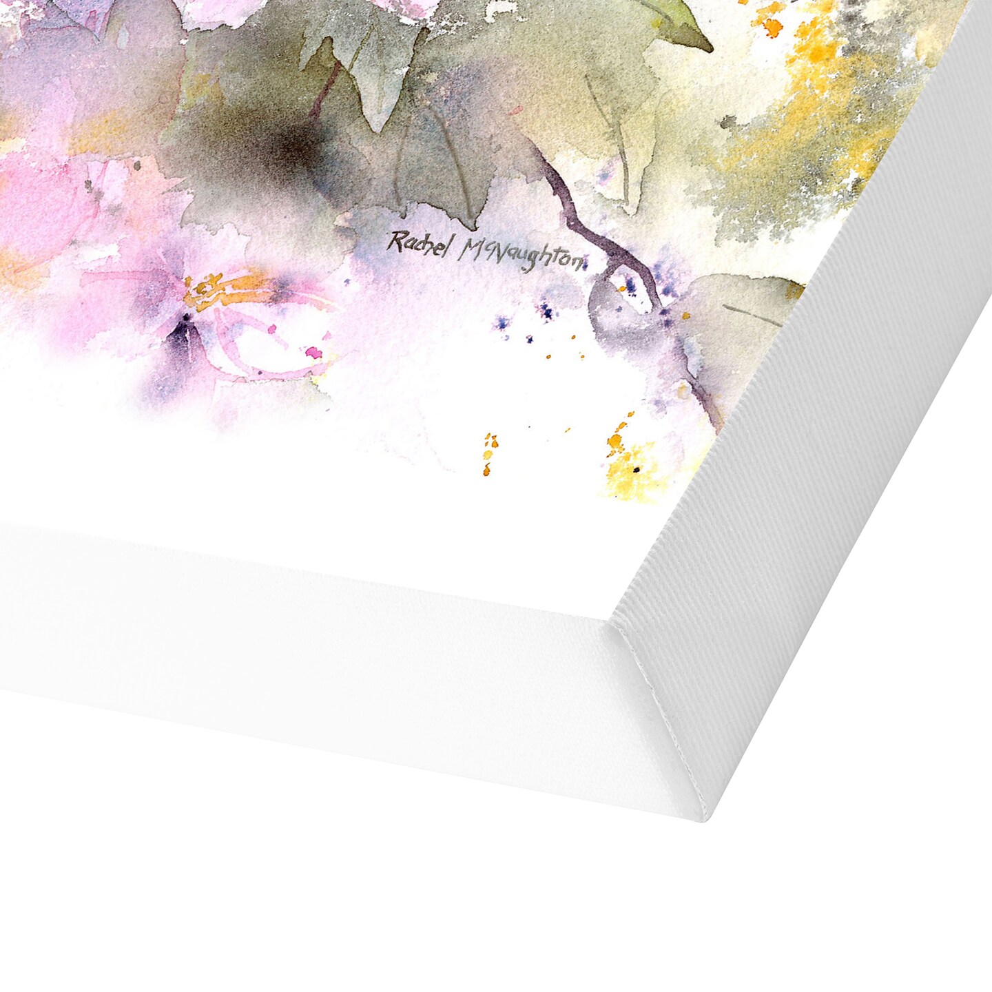 Clematis Montana by Rachel McNaughton  Gallery Wrapped Canvas - Americanflat