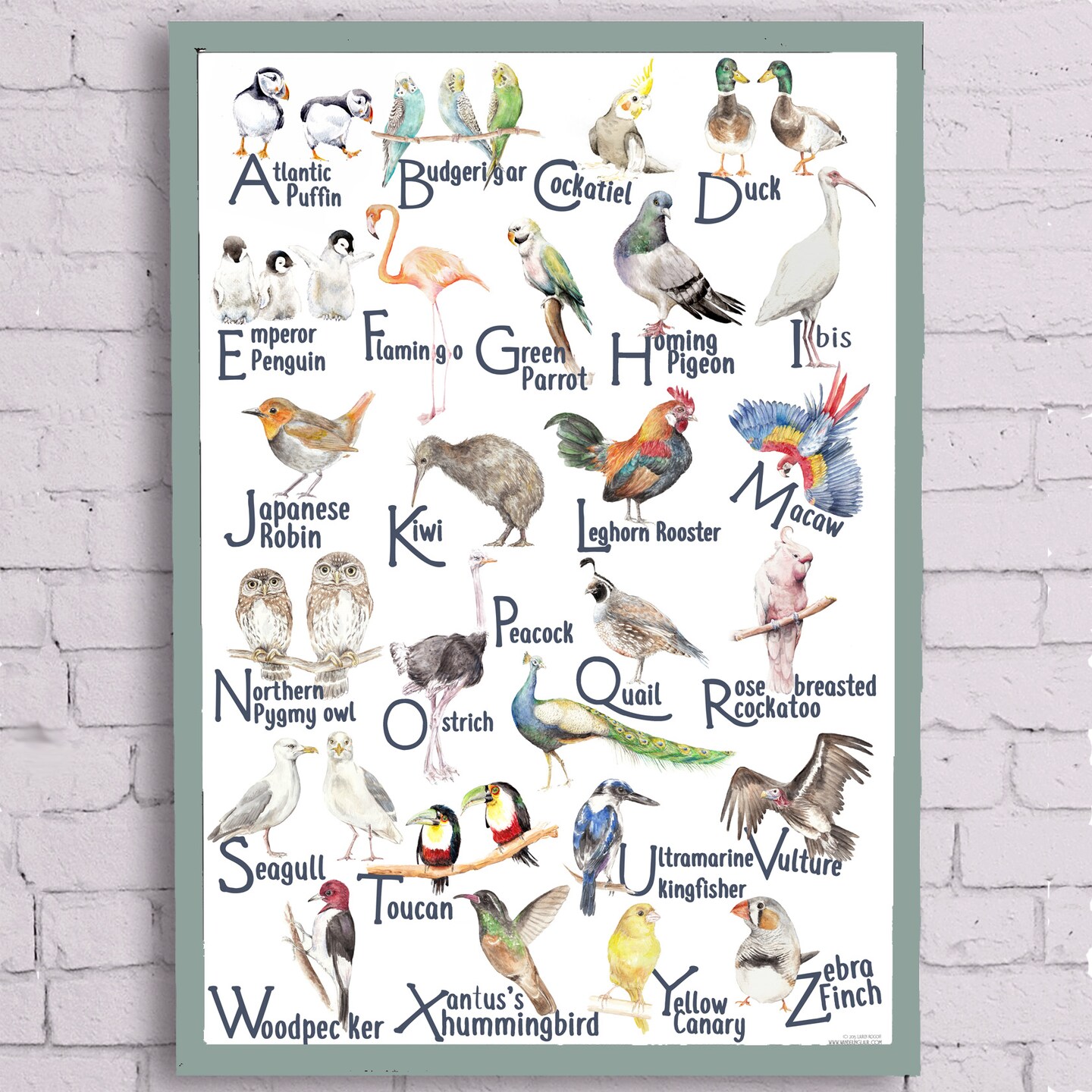 Birds ABC Watercolor Alphabet Poster | MakerPlace by Michaels