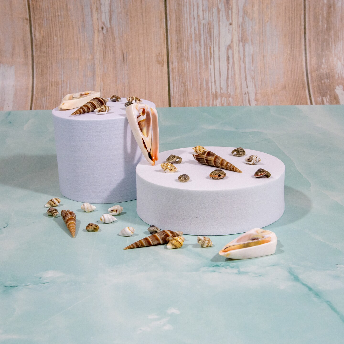 6 Packs of Baby Shell Spotted Beads -  25 Pc Pack