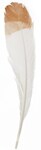 Imitation Eagle Feather 12in White &#x26; Brown, 18pcs