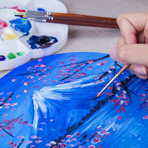 7 Pcs Detail Model Paint Brushes for Acrylic, Gouache, Oil, Tempera and Face Painting