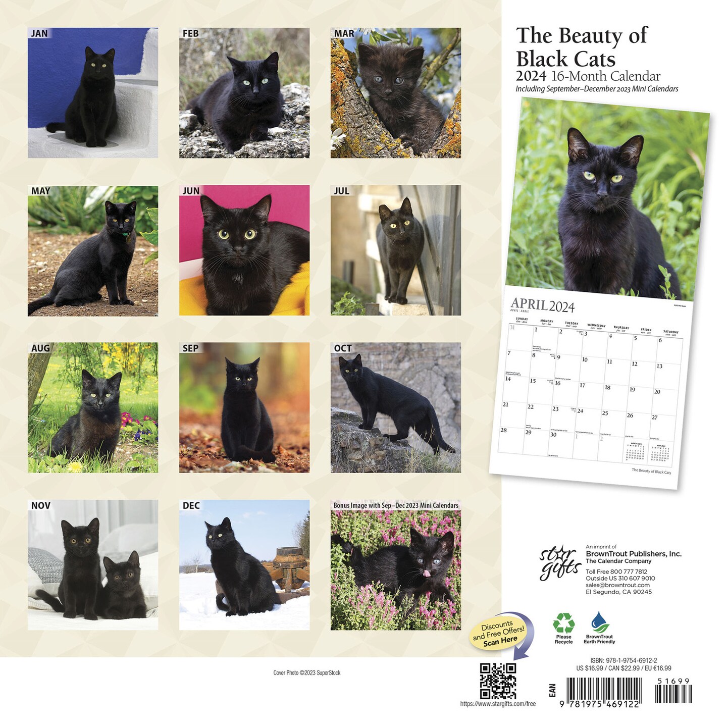 The Beauty of Black Cats | 2024 12 x 24 Inch Monthly Square Wall Calendar | Sticker Sheet | StarGifts | Animals Kittens Feline