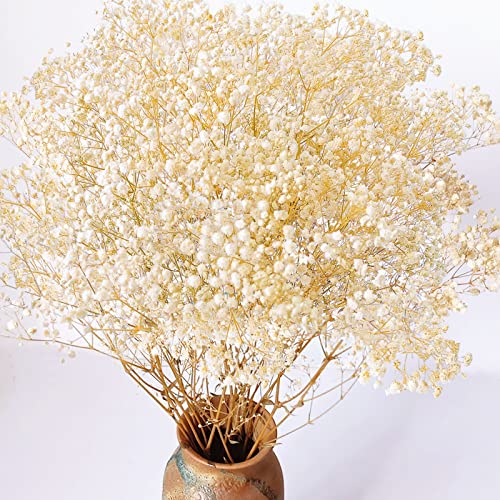 Dried-Babys-Breath-Flowers-Bouquet, Glicrili 17.2 inch 2500+ Ivory White Flowers, Natural Gypsophila Branches for Home, Table Decor, Dry Flowers Bulk for Vase, Wedding, DIY, Party (3oz)