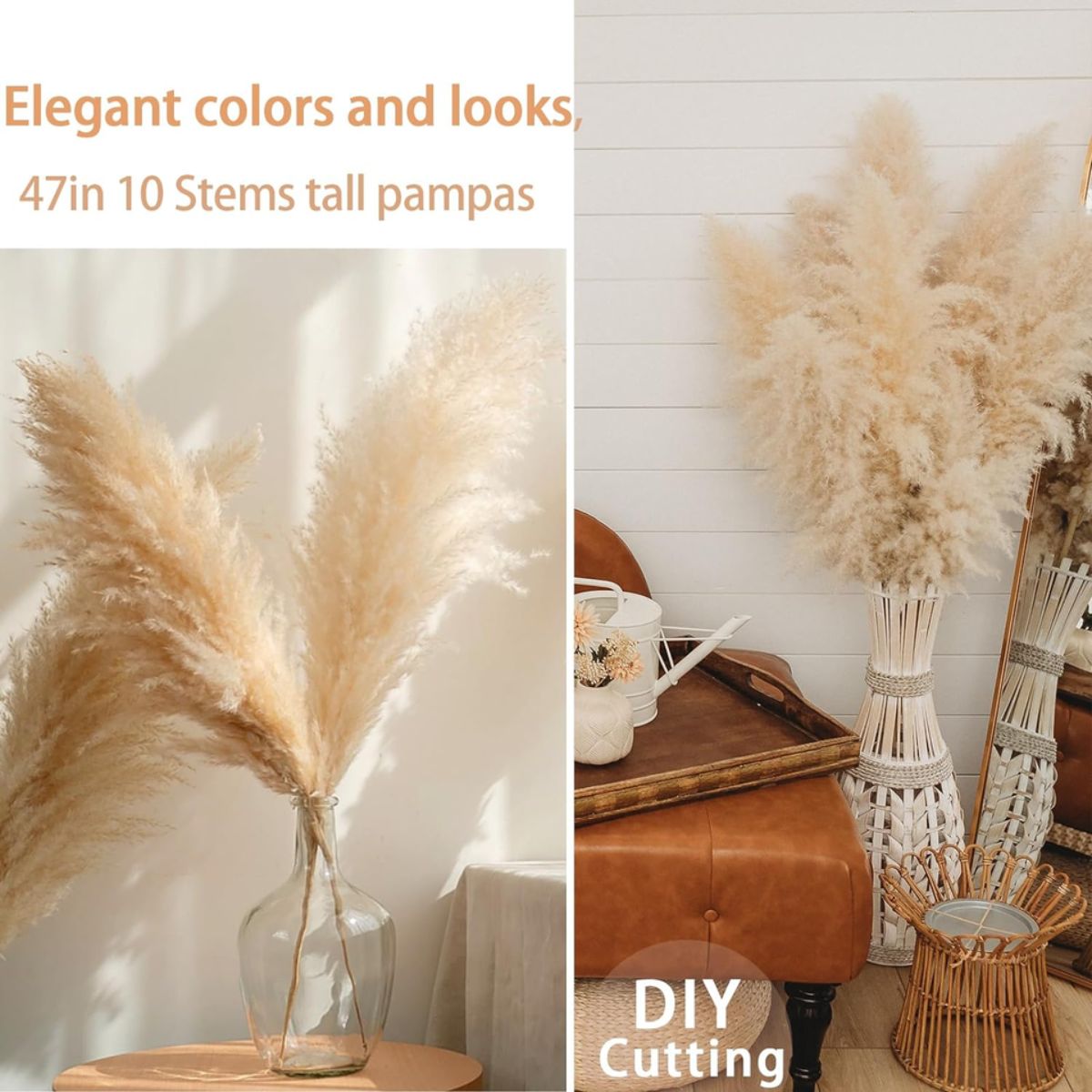 47 Inches Tall Dried Pampas Grass