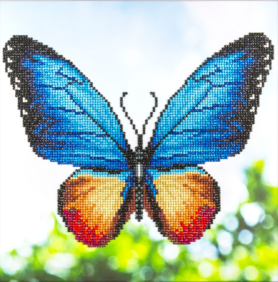 DIAMOND ART BY LEISURE ARTS Diamond Painting Kits For Adults 12&#x22;x12&#x22; Intermediate Butterfly, Full Drill, Diamond Art Kits, Dimond Art, Diamond Art for Adults, Diamond Art Kit