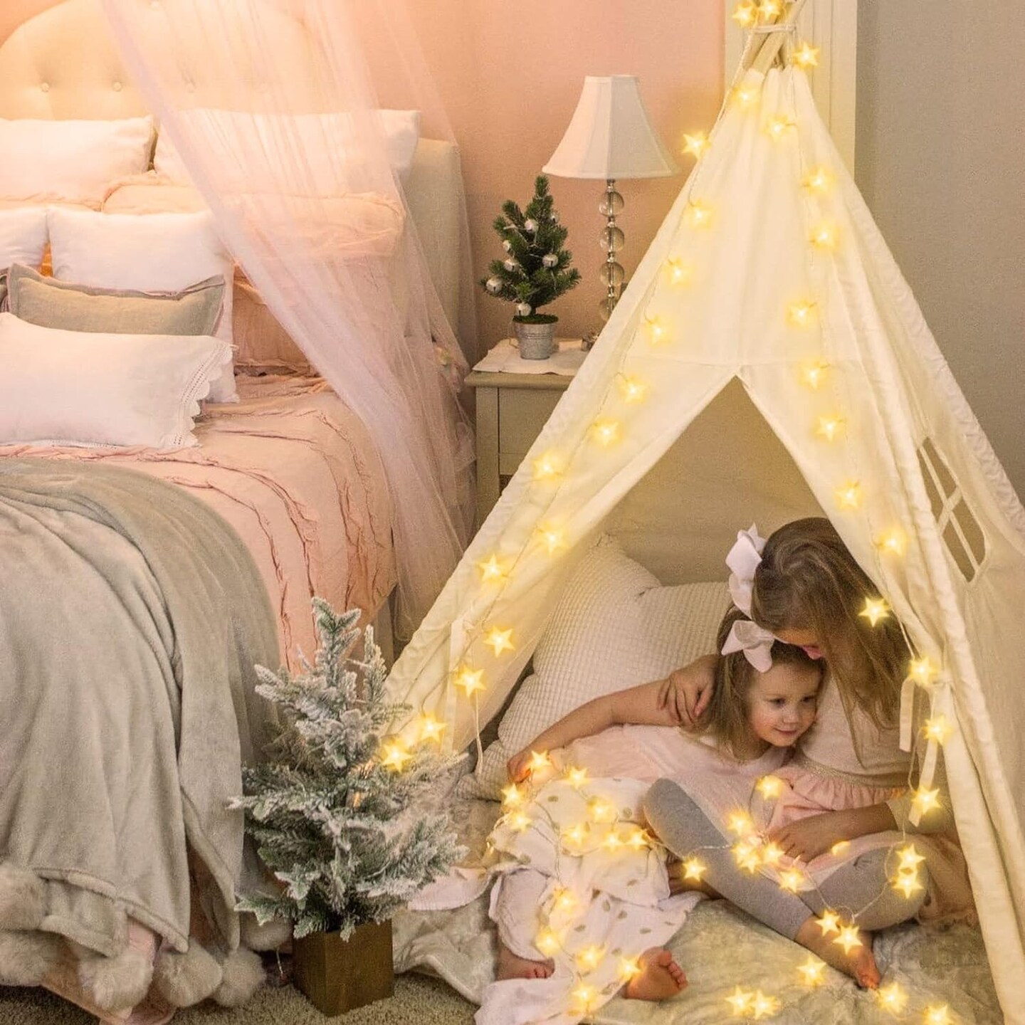 13.2 ft 40 LED Battery Powered Christmas Fairy String Lights
