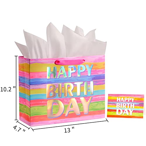 13" Large Gift Bag with Card and Tissue Paper (Colorful Happy Birthday)