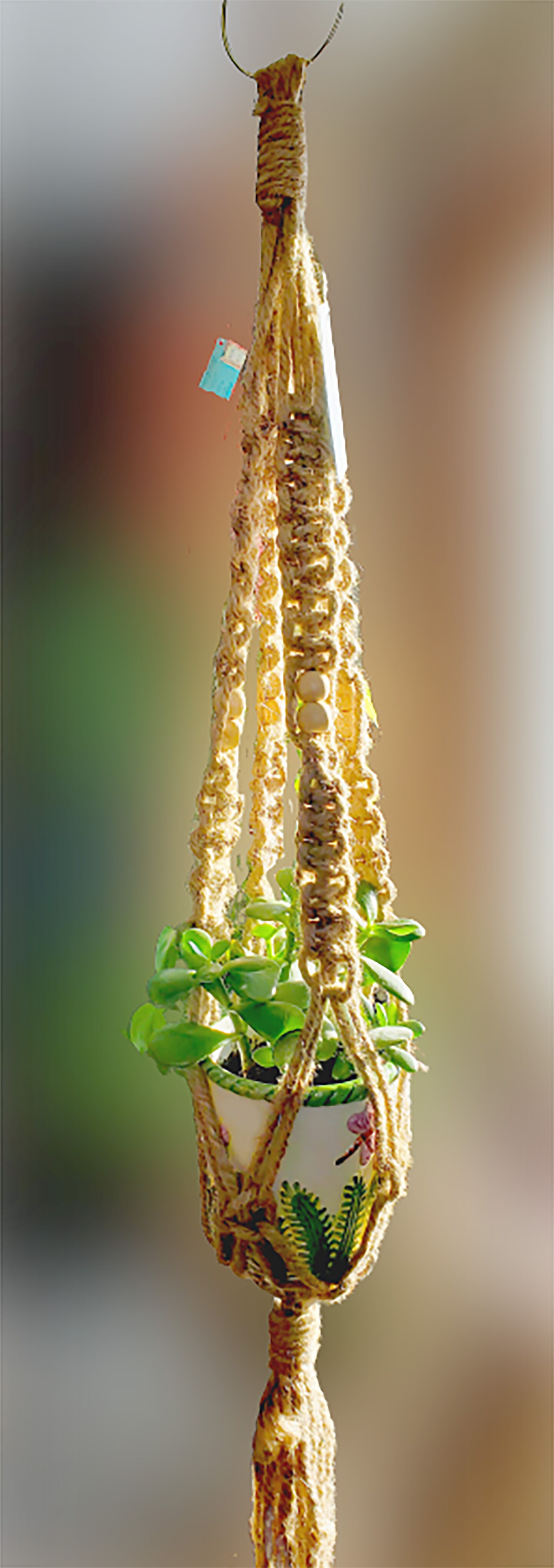 How to Make a Jute Plant Hanger image 1