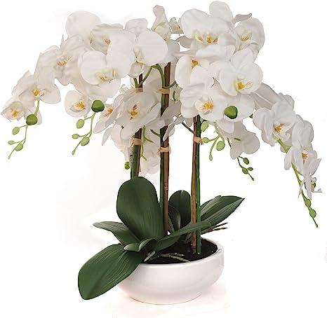 19-Inch Phalaenopsis Orchid Arrangement in Elegant Floral Décor for Home and Office, Floral Home by Artificial Flowers