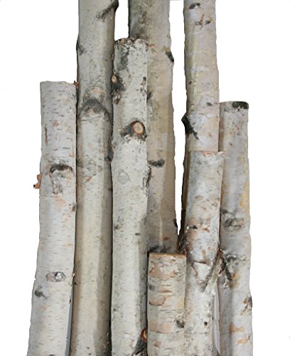 Wilson White Birch Pole Packs 1.5&#x22;-2.5&#x22; Dia. (Set of 3)