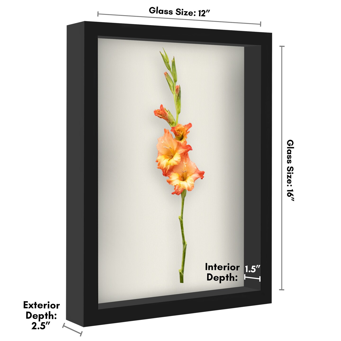 Americanflat Shadow Box Frame - 1.5 Interior Depth for Memorabilia - Display Case for Showcasing Souvenirs, Awards, and Medals - Shatter Resistant Glass - Hanging Hardware