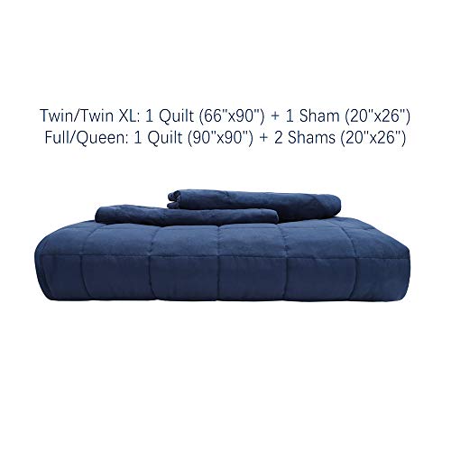 EMME Quilt Set Twin Size 2 Pieces (66x90 inches), Pre-Washed Microfiber Bedspread for All Season, Lightweight and Reversible Coverlet (Squares Pattern, Navy)