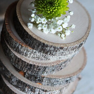 Basswood Coasters (Set of 8)