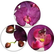 33.5&#x22; Purple Orchid Stems (12-Pack) - Lifelike Silk Flowers, Perfect for Bouquets, Events &#x26; Home Decor - Elegant Year-Round Decoration, Floral Home by Artificial Flowers