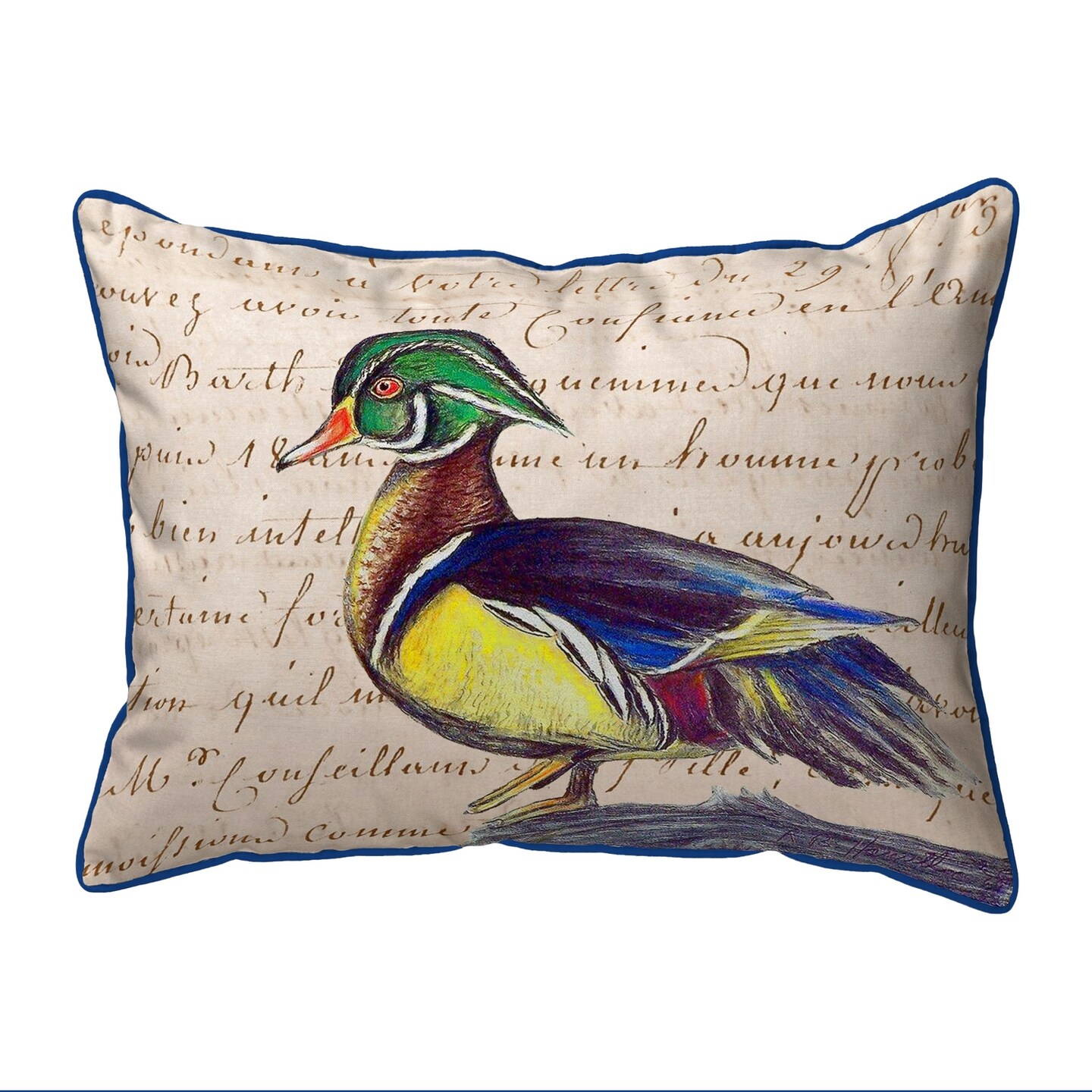 Duck Script Pillow - Extra Large Zippered - 20x24 - Betsy Drake