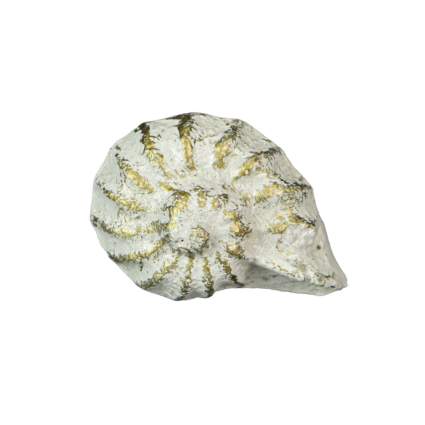 Cast Iron Nautilus Shell Drawer Pull Decorative Cabinet Knob Nautical Set of 6