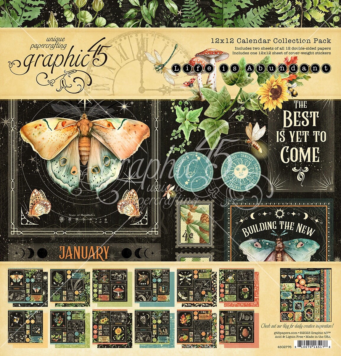 Graphic 45 Collection Pack 12&#x22;X12&#x22;-Life Is Abundant