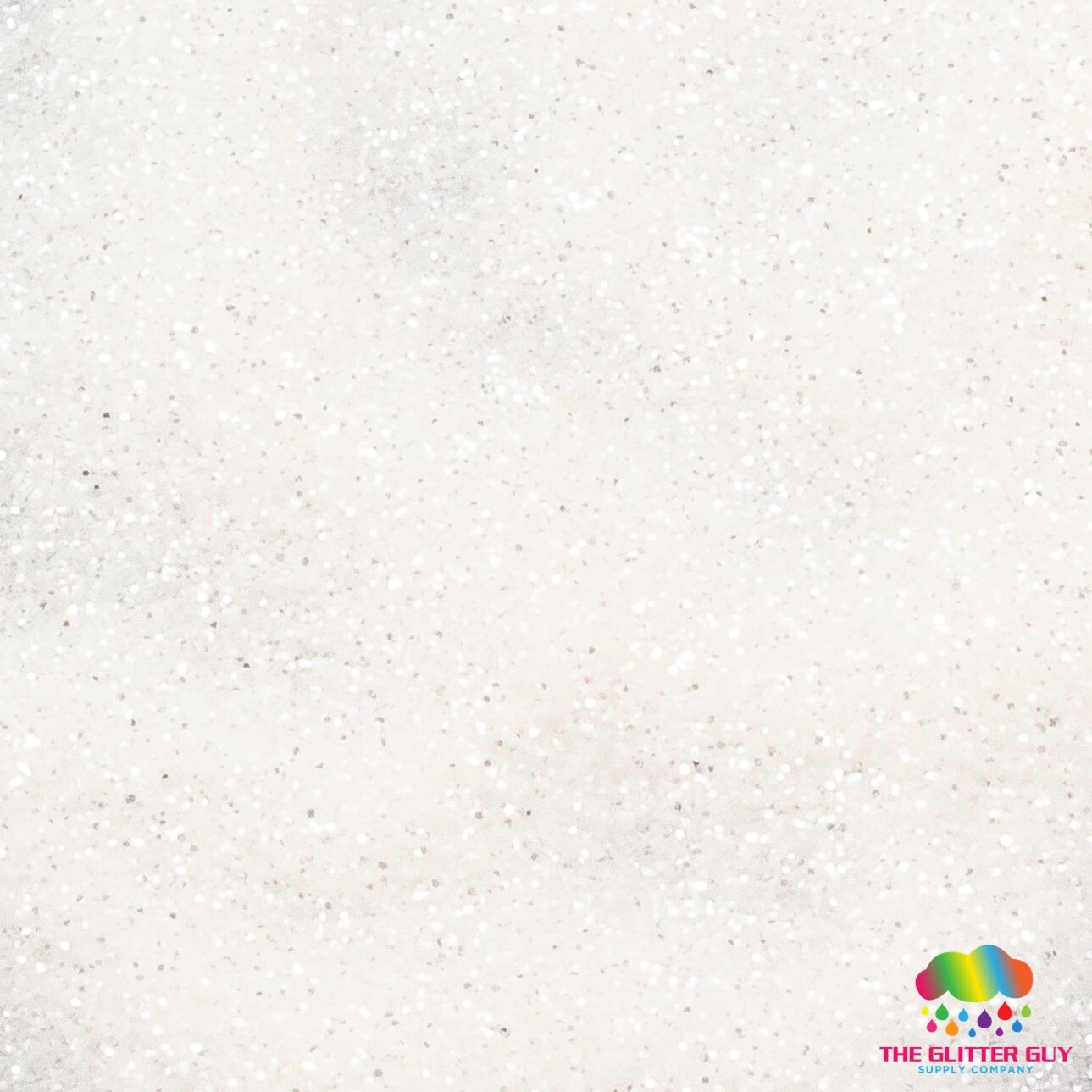 The Glitter Guy 100ml Glitter Shaker | Michaels