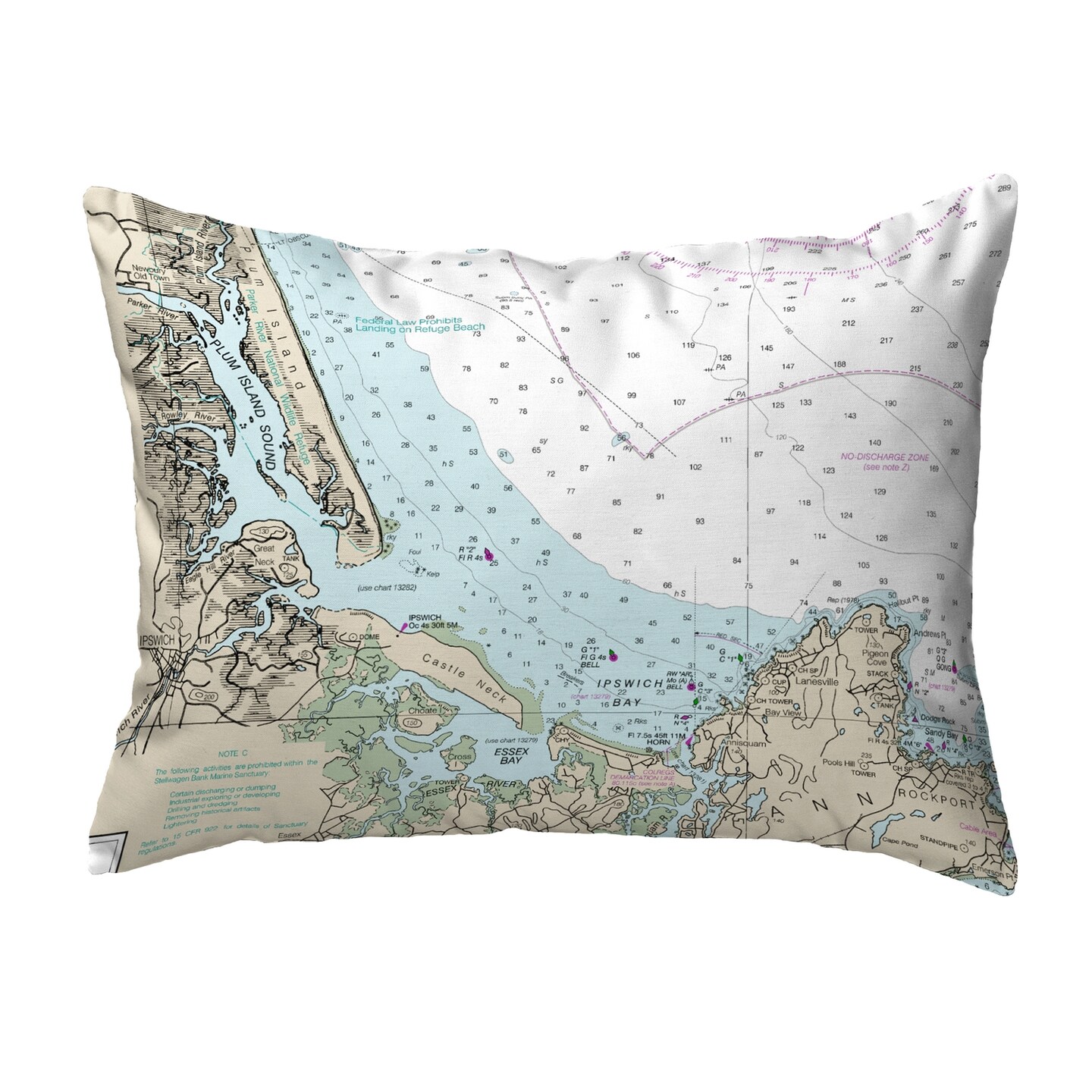 Betsy Drake Plum Island Sound, MA Nautical Map Noncorded Indoor/Outdoor ...