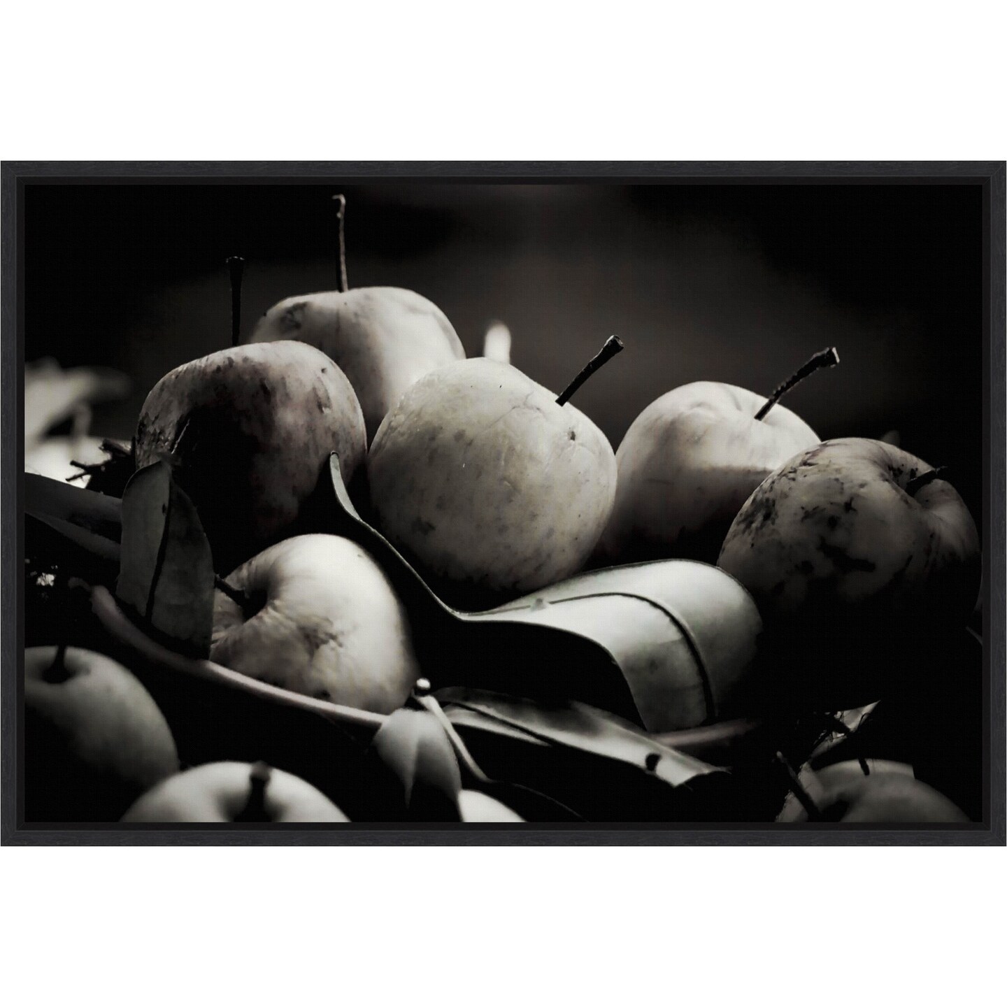 Harvest Fruit by Alex Caminker Canvas Art Framed