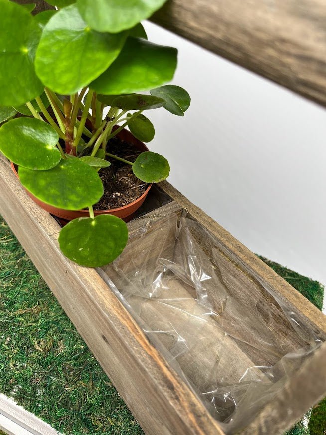 Wood Handled Trug Planter