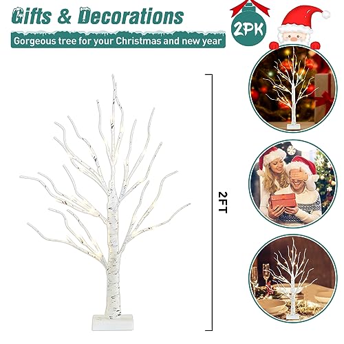 2 FT Birch Tree with LED Lights, Warm White Light up Tree Lamp, Fairy Light Spirit Tree for Xmas Indoor Home Table Fireplace Decor, Battery Powered, 6H/18H Timer (2PK)