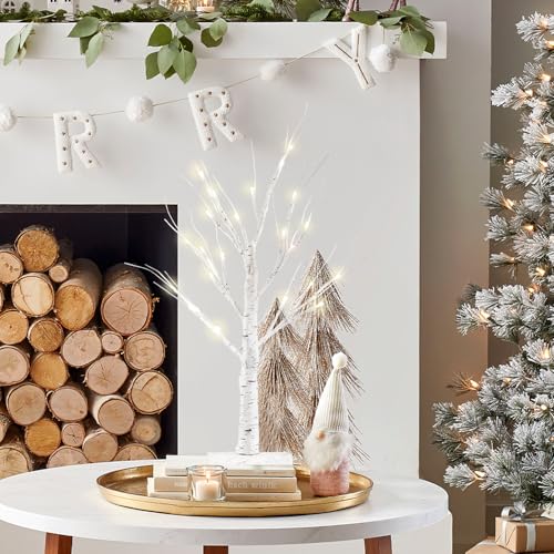 YEAHOME 2FT/24” Birch Tree Light with 24LT Warm White LEDs Battery Powered  Timer for Christmas Decorations Indoor, Money Trees for Xmas Winter Wedding  Desk Table Mantel Home Decor