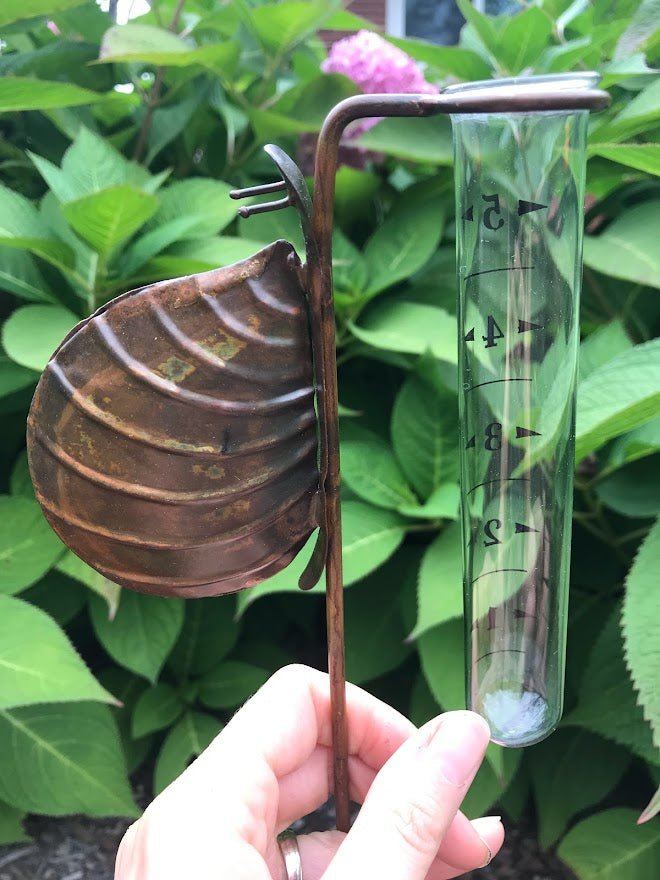 Rain Gauge - Snail