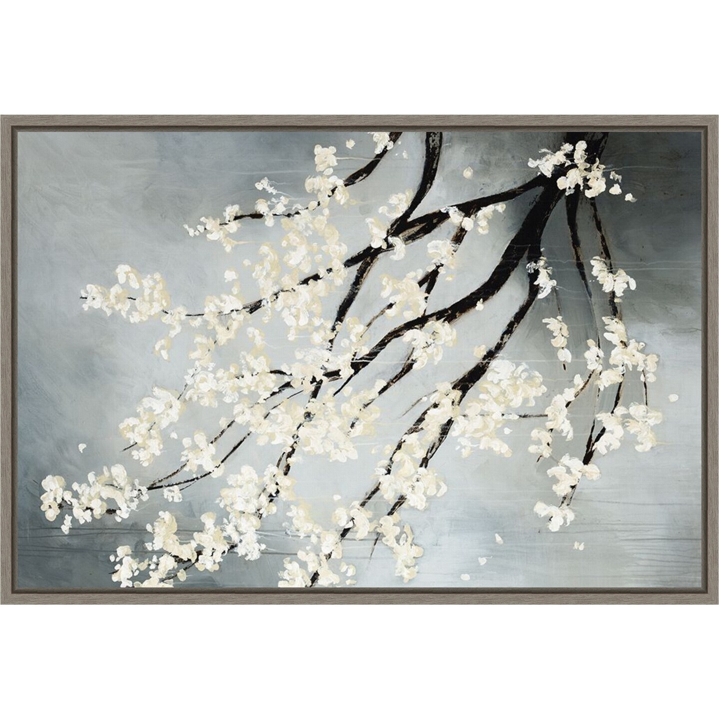 Cherry Tree Blossoms by Kari Taylor Canvas Art Framed