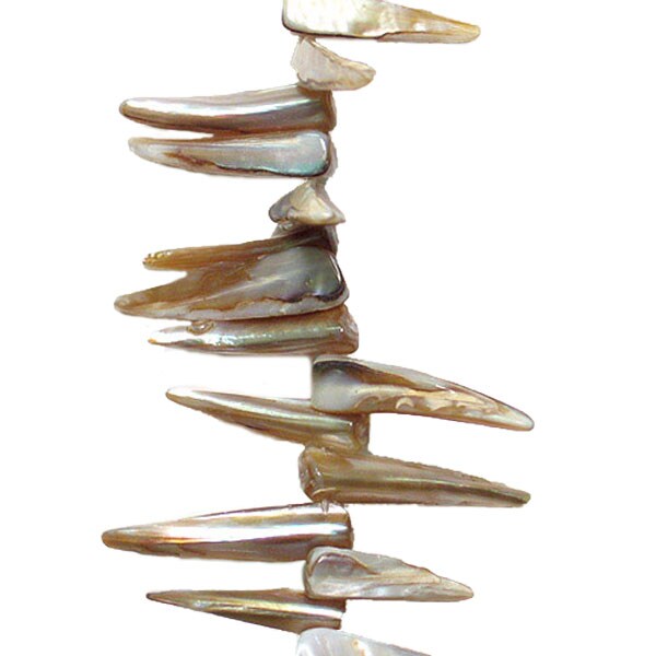 Sea Shell Spike Beads 16&#x22; Strand (62-66 ) Hand Crafted Natural