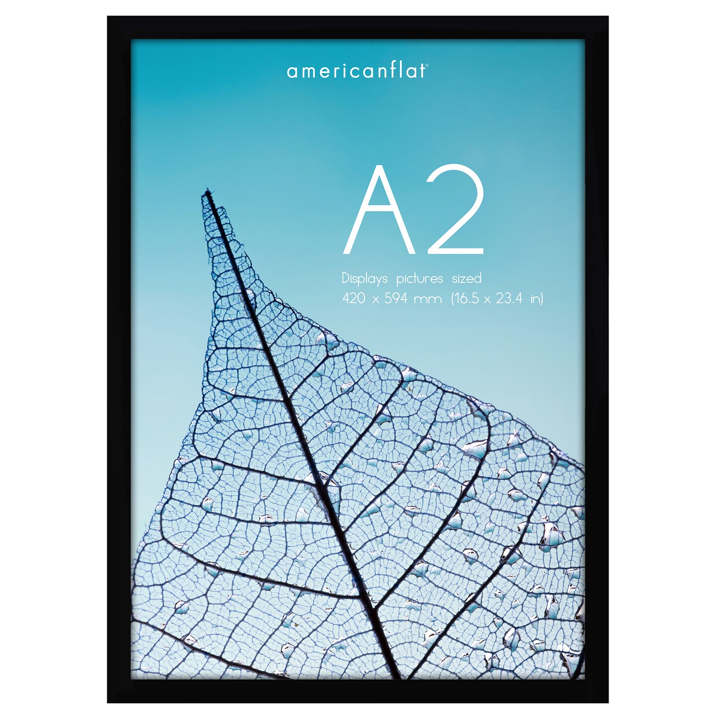 Americanflat A2 A3 A4 A5 Picture Frame and Poster Frame