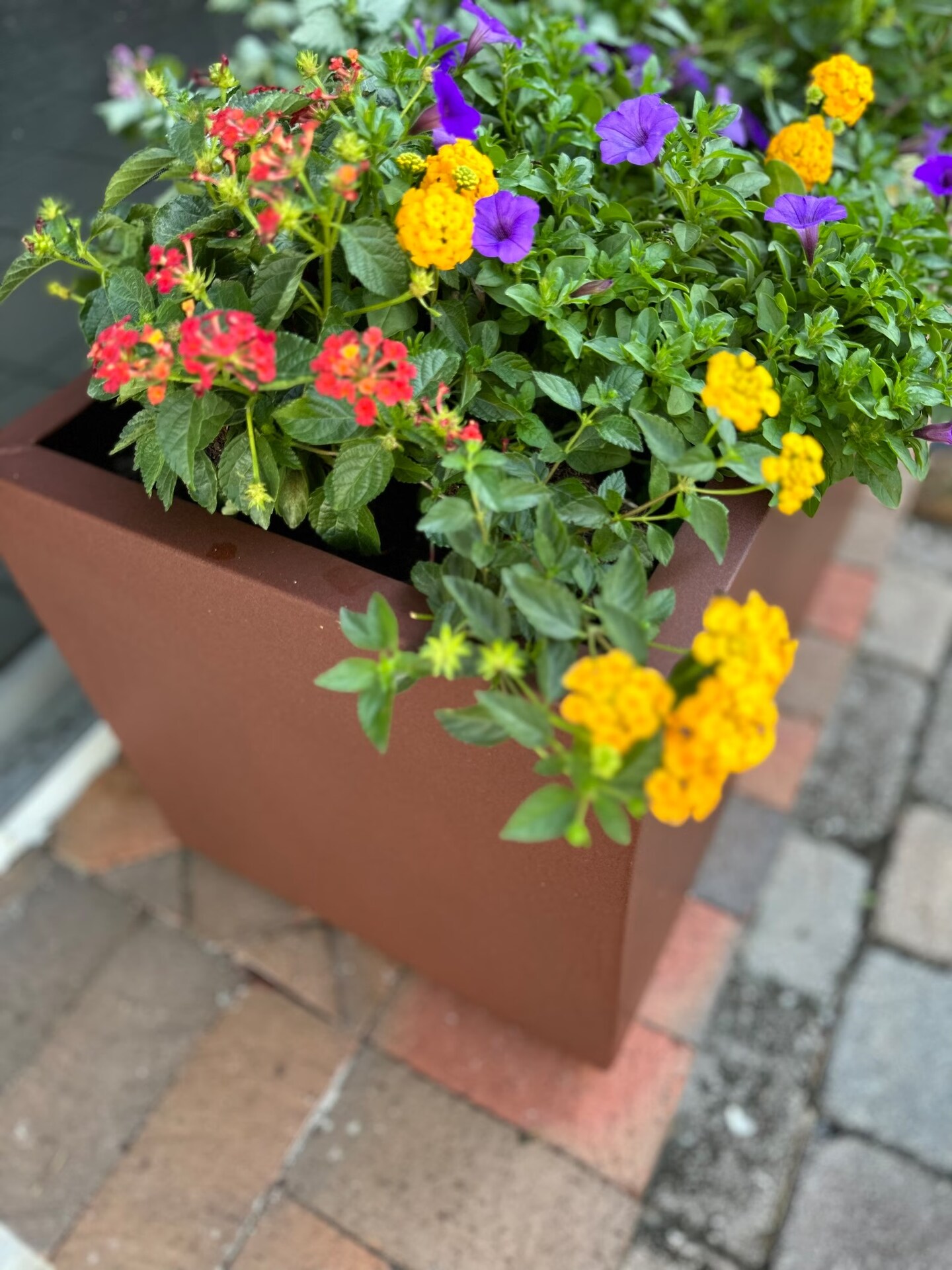 plastic planter boxes Outsunny Plastic Raised Garden Bed, 5 x 1 x 1 ft Outdoor Flower Box with Drainage Holes for Vegetables, Herbs, Blue main image 0